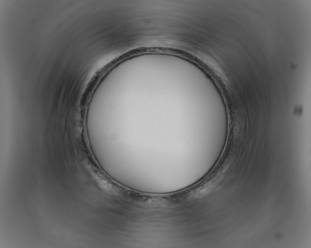 X0000091860974200709261251