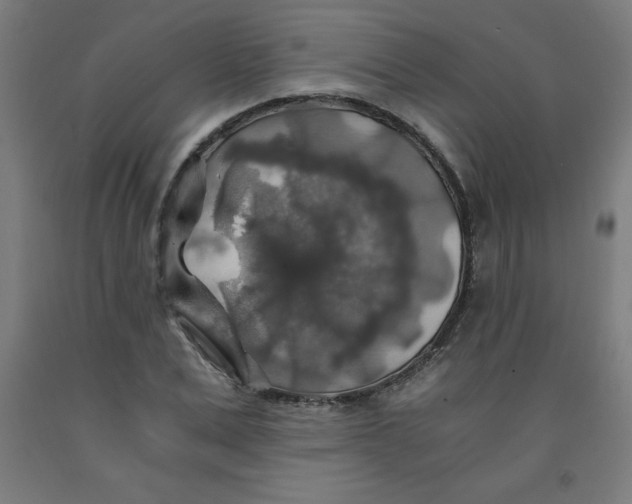 X0000091860975200709261251