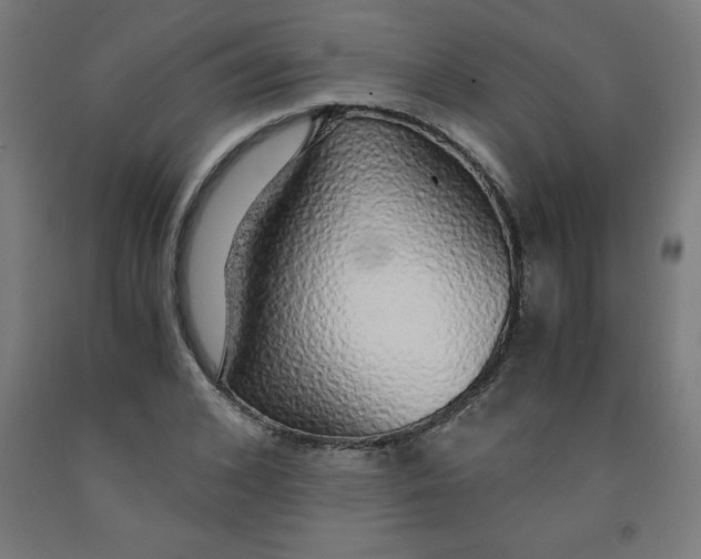 X0000091860976200709261251