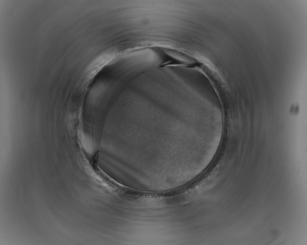 X0000091860977200709261251