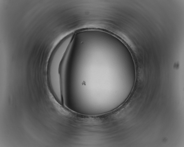 X0000091860980200709261251