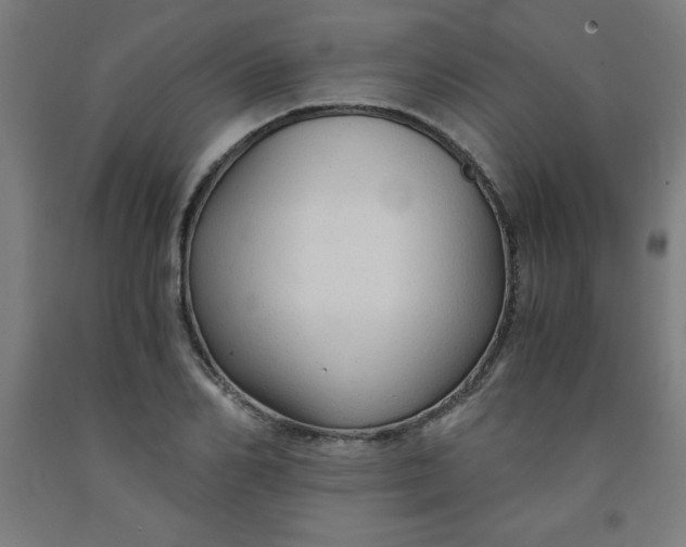 X0000091860982200709261251