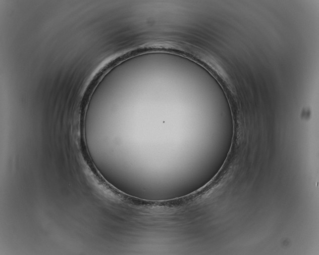 X0000091860984200709261251