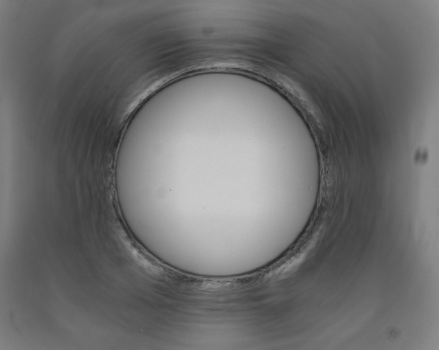 X0000091860985200709261251