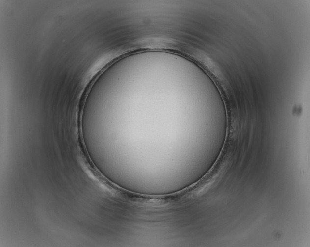 X0000091860986200709261251