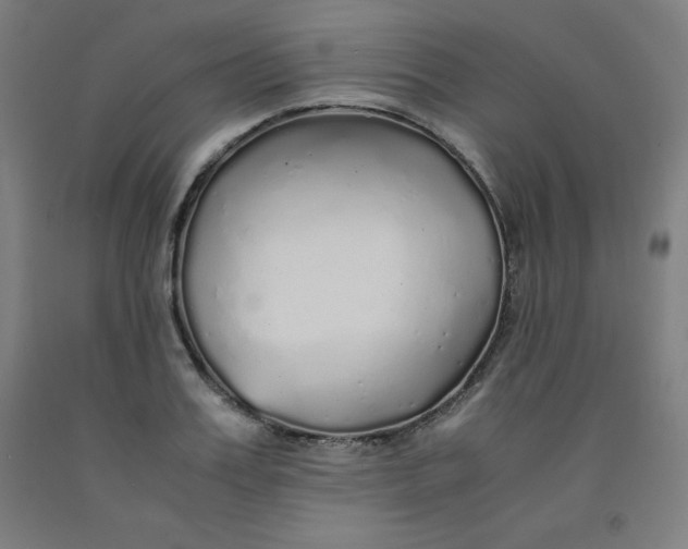 X0000091860987200709261251