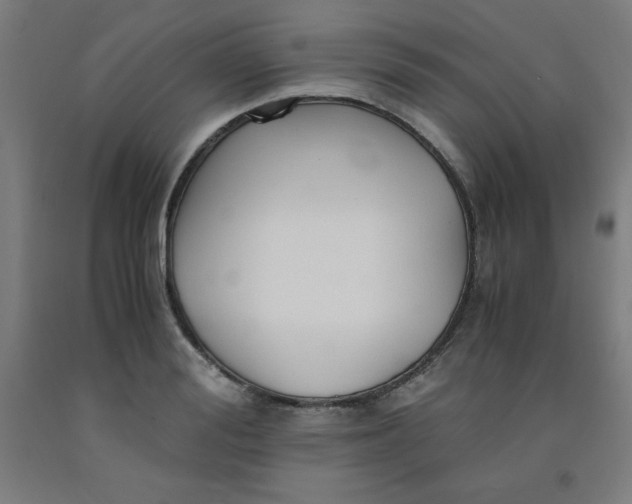 X0000091860988200709261251