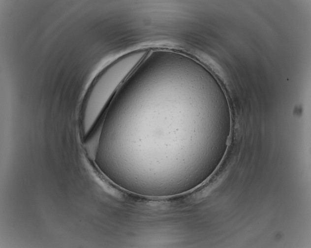 X0000091860989200709261251