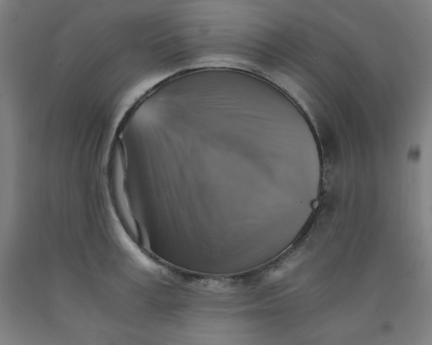 X0000091860995200709261250