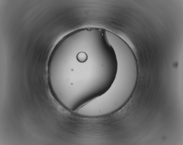 X0000091860996200709261250