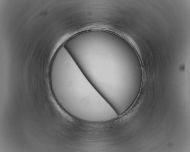 X0000091860997200709261250