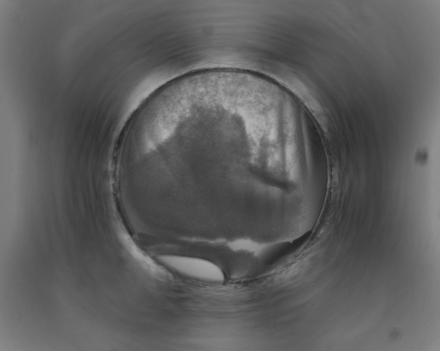 X0000091860998200709261250