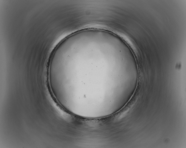 X0000091860999200709261250