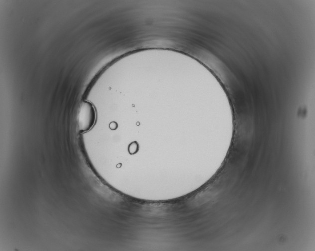 X0000091861000200709261250