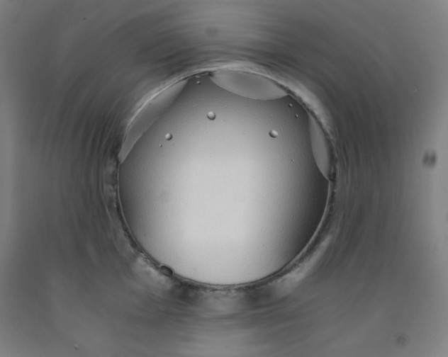 X0000091861001200709261250