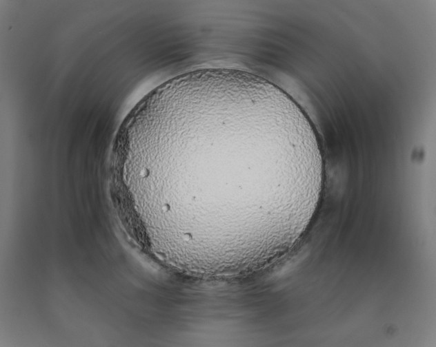 X0000091861002200709261250