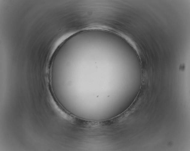 X0000091861003200709261250