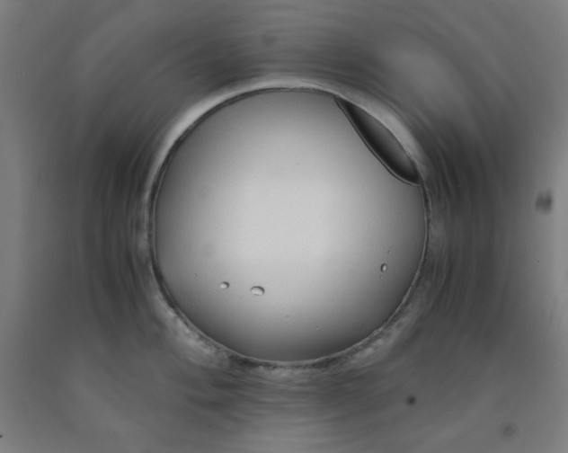 X0000091861004200709261250