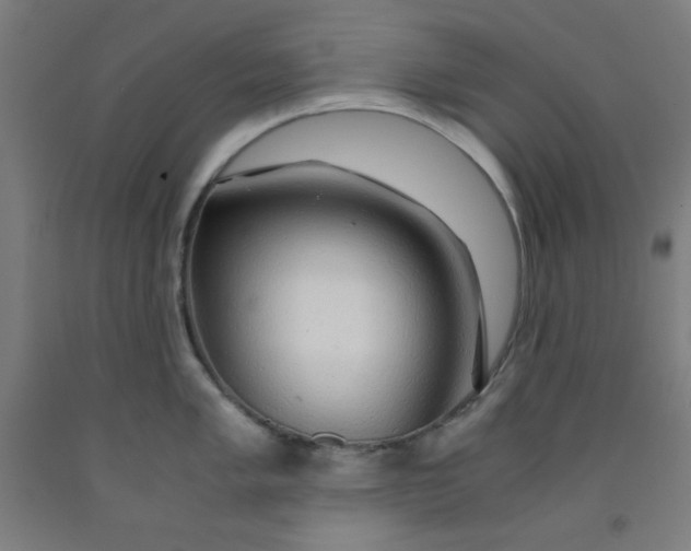 X0000091861005200709261250