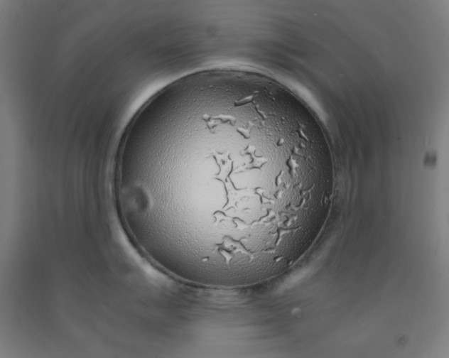 X0000091861007200709261250