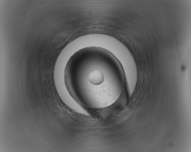 X0000091861010200709261250