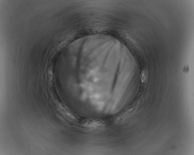 X0000091861011200709261250