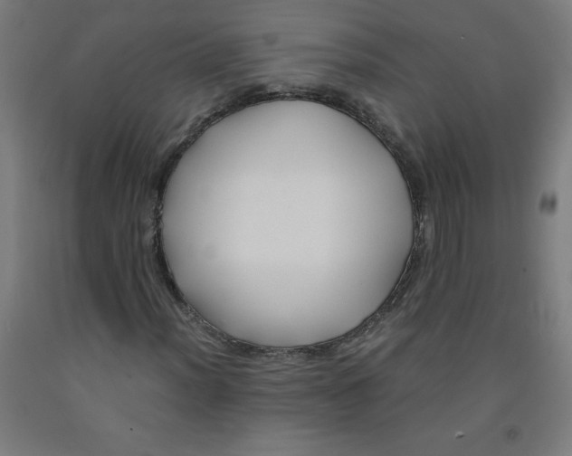 X0000091861012200709261250