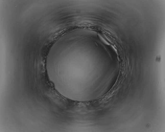 X0000091861013200709261250