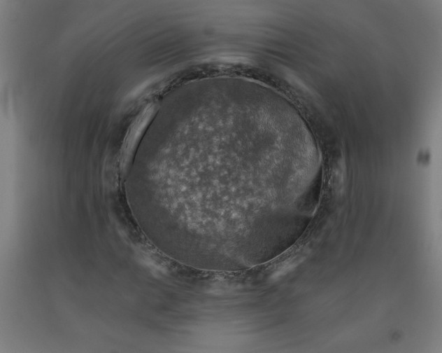 X0000091861014200709261250