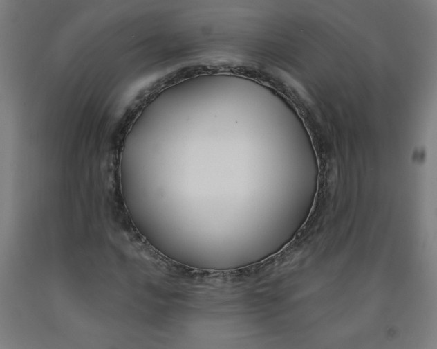 X0000091861016200709261250