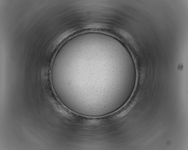 X0000091861017200709261250