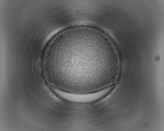 X0000091861018200709261250