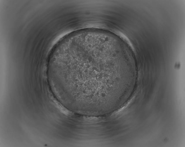 X0000091861019200709261250