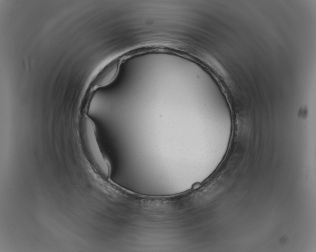 X0000091861020200709261250