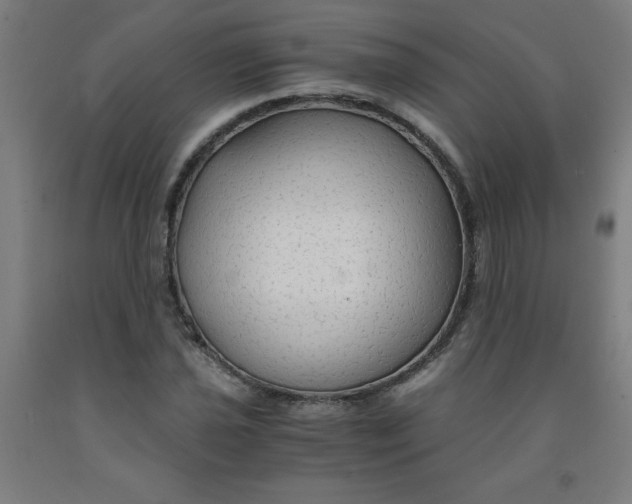 X0000091861021200709261250