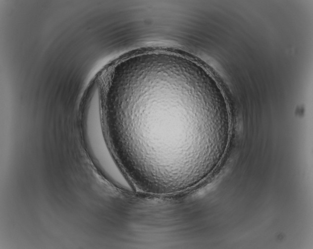 X0000091861022200709261250