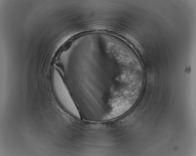 X0000091861023200709261250