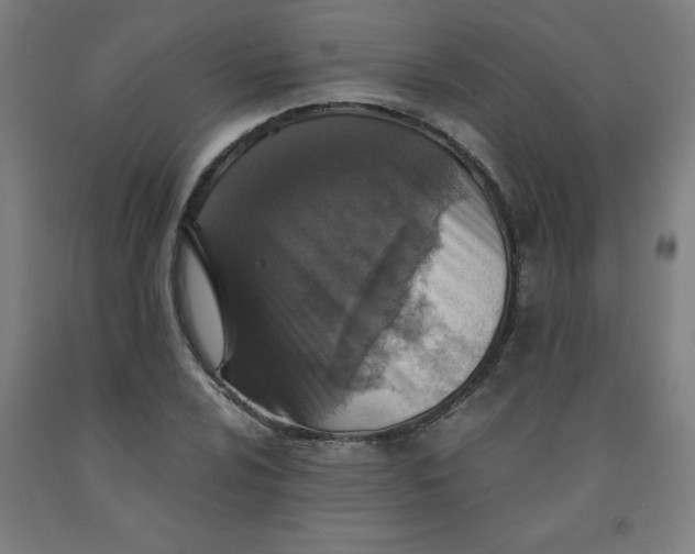 X0000091861024200709261250