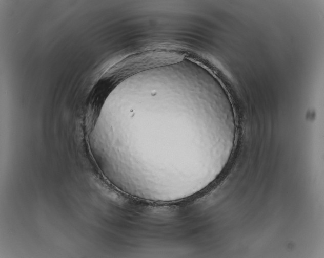 X0000091861025200709261250