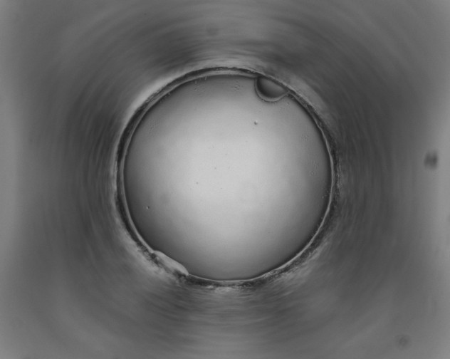 X0000091861028200709261250