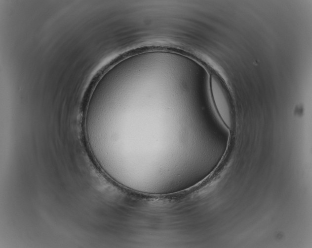 X0000091861029200709261250