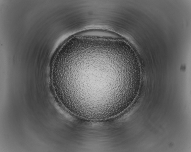 X0000091861030200709261250