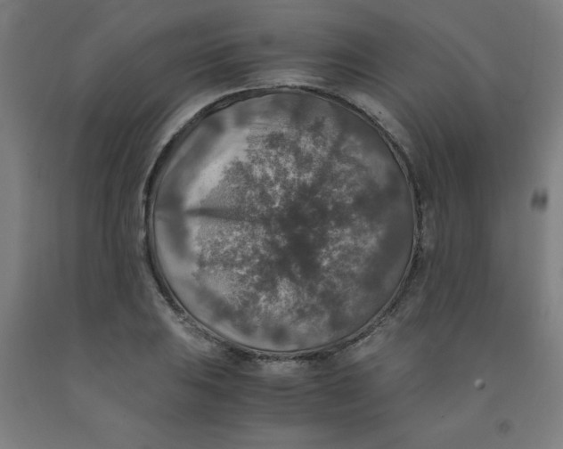 X0000091861031200709261250