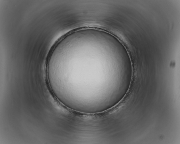 X0000091861032200709261250