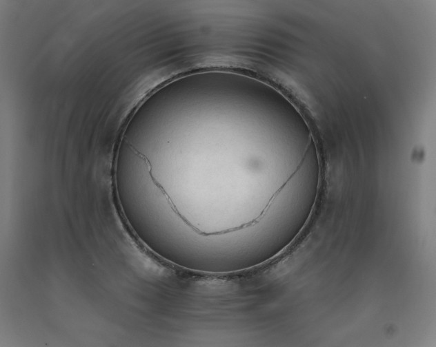 X0000091861033200709261250