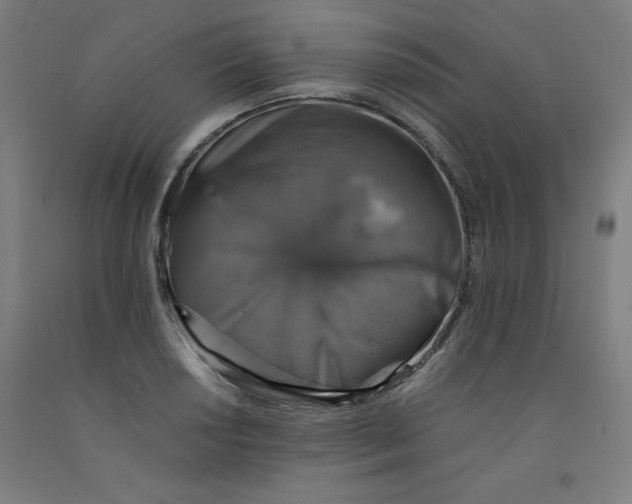 X0000091861034200709261250