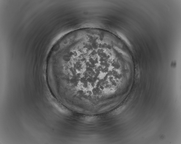 X0000091861035200709261250