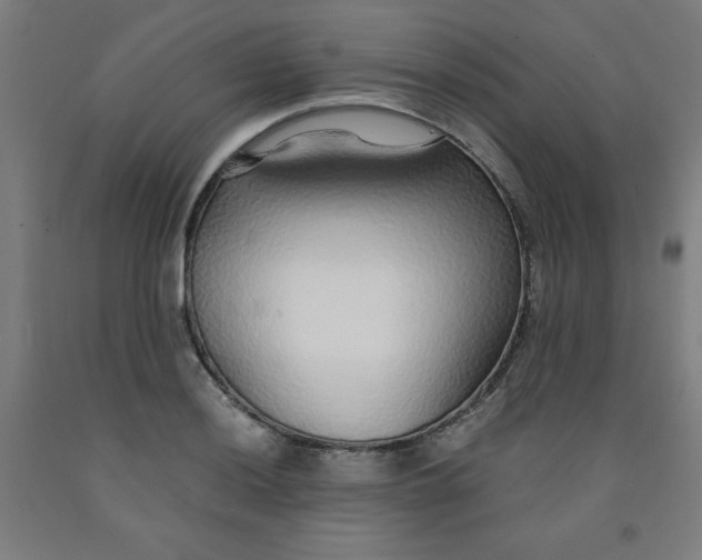 X0000091861036200709261250