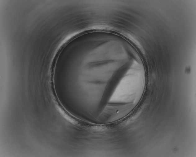 X0000091861037200709261250