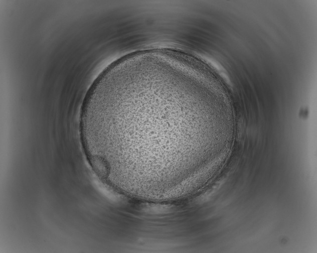 X0000091861039200709261250